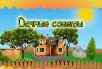 Смотрите Дачные советы в четверг 01.06.2017 г. в 19.20 на телеканале Губерния