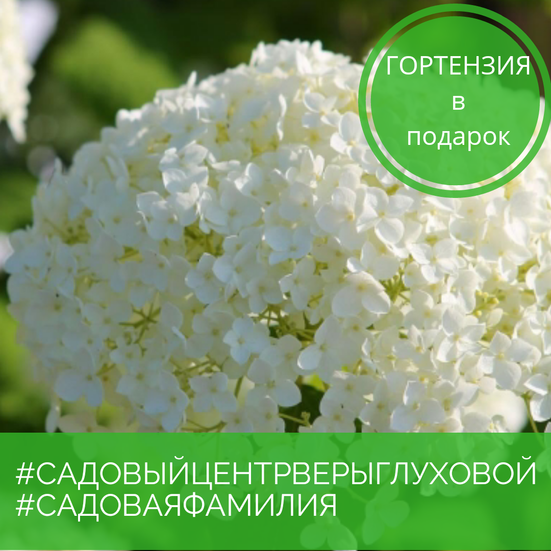 Обладателям садовых фамилий! Обладателям садовых фамилий!