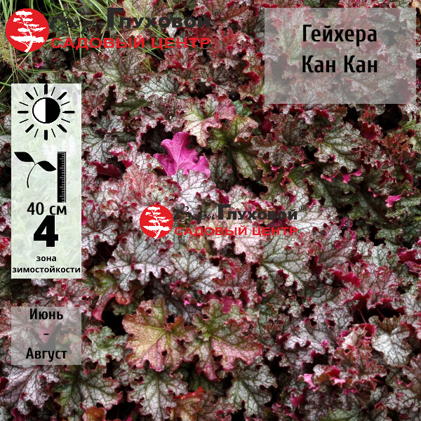 Основное изображение товара