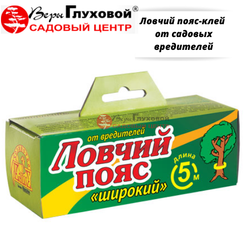 Основное изображение товара