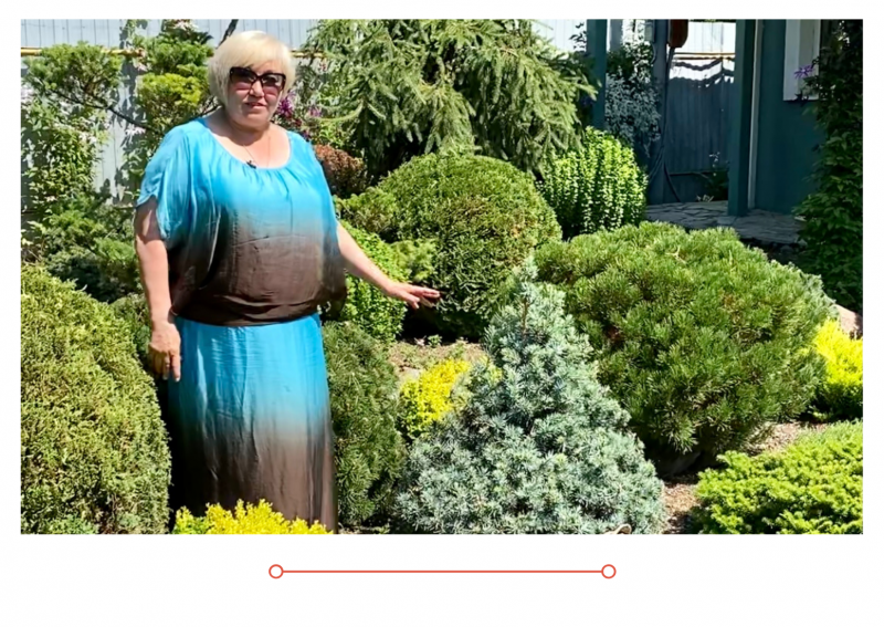 Новый выпуск "Дачные советы" от 15.07.2021 