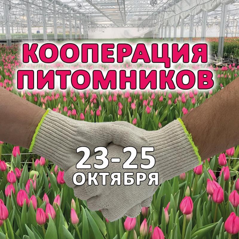 Участвуем в профессиональной выставке "Кооперация питомников - 2024"