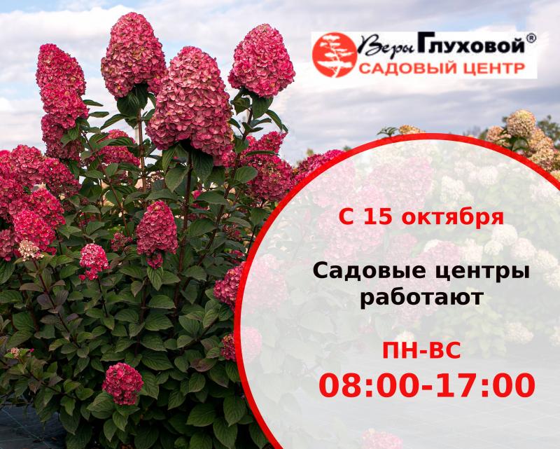 Важно! Изменения в режиме работы садовых центров