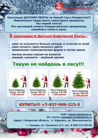 Купить "Датские пихты" к Новому году