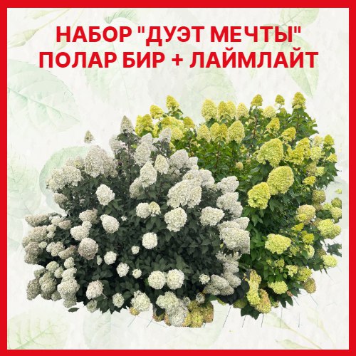 Основное изображение товара