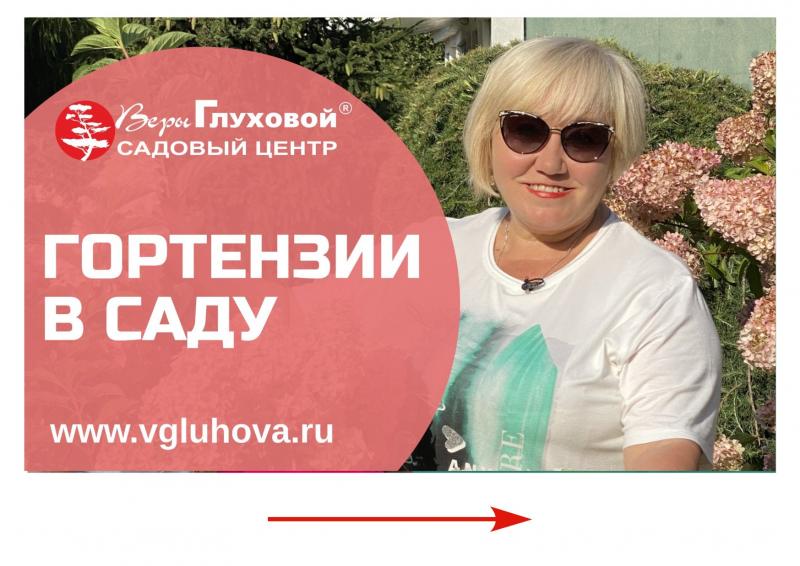 Дачные Советы выпуск 01.09.22