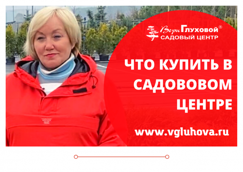 Что можно купить сейчас в Садовом Центре