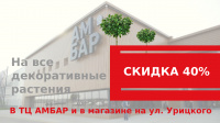 Скидка на декоративные растения 40%