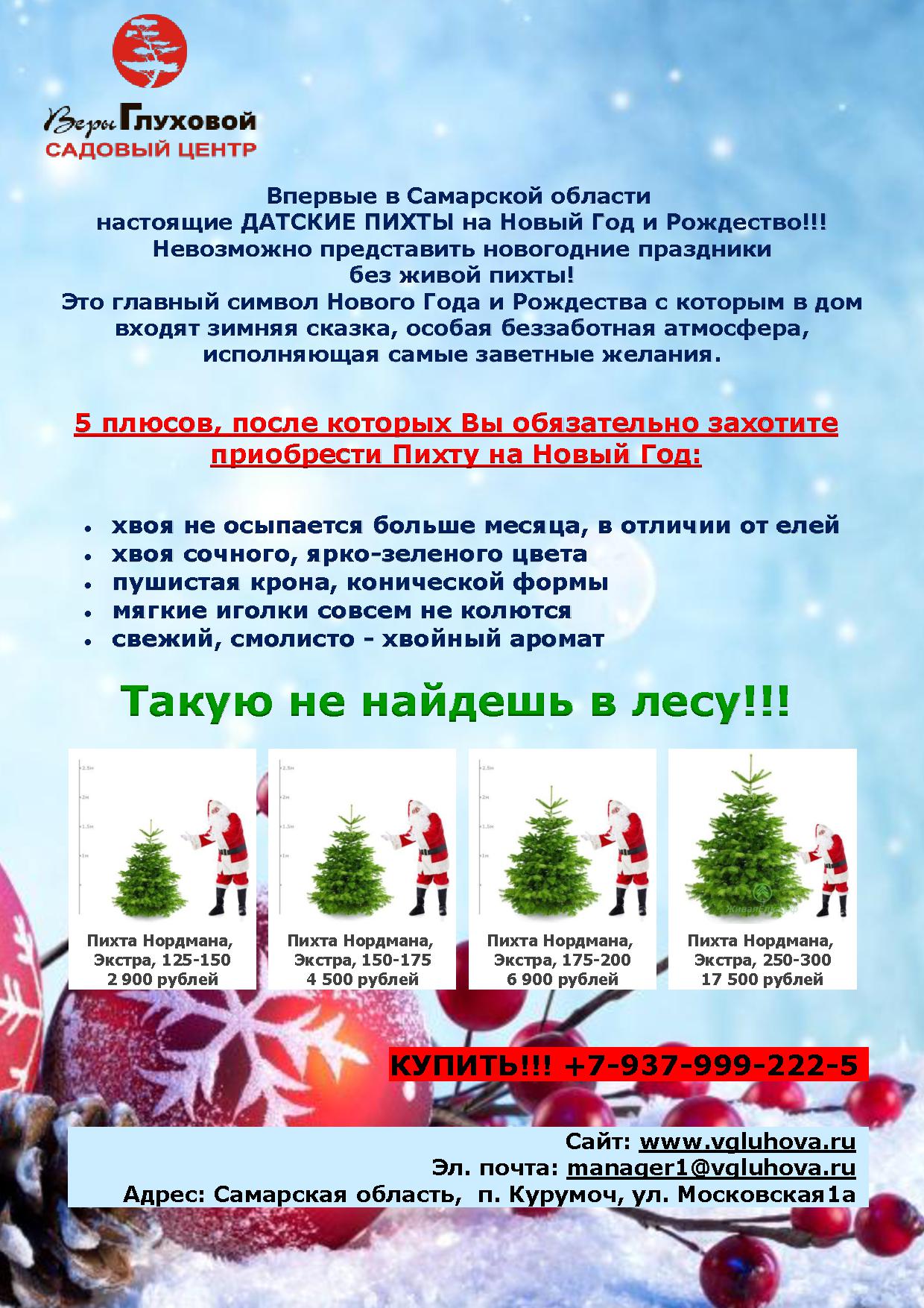 Живые пихты Живые пихты