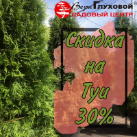 Скидка на туи