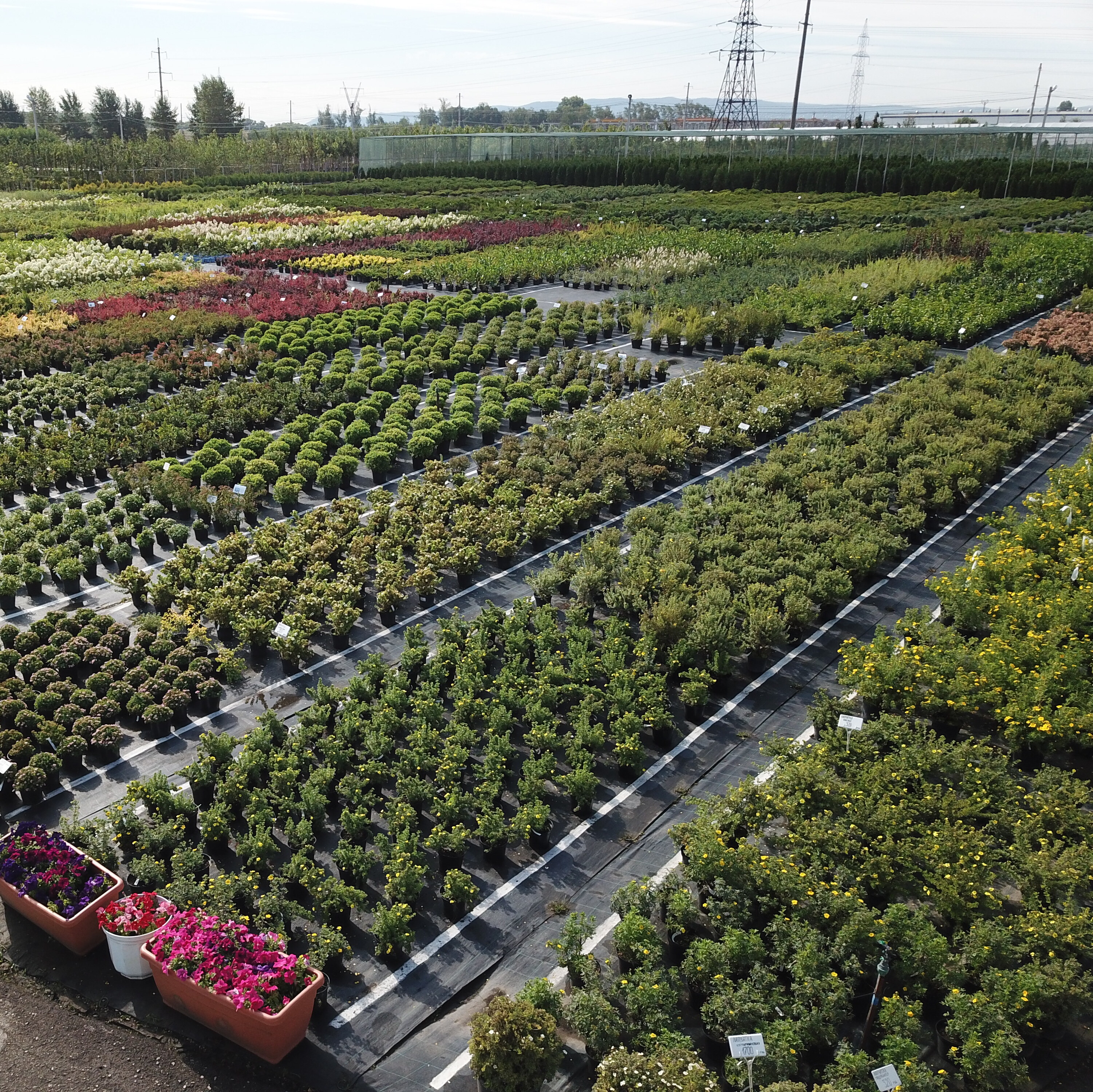 Расширение географии поставок Расширение географии поставок