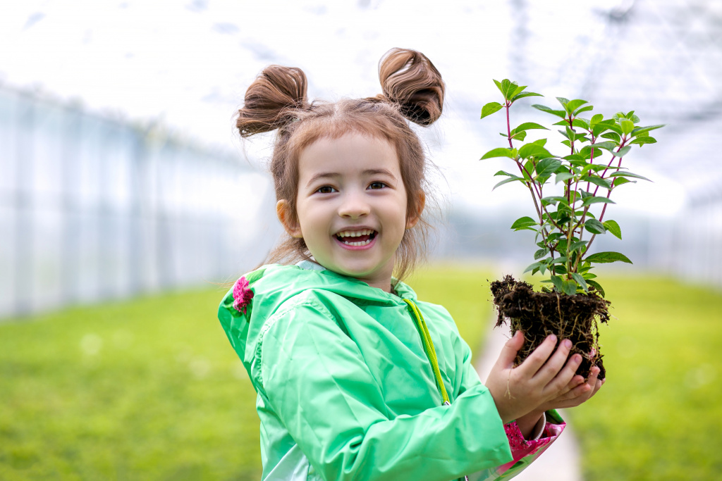 IMG_1727-1.jpg IMG_1727-1.jpg