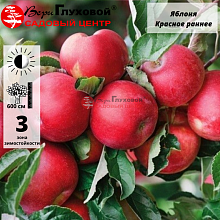 Основное изображение товара