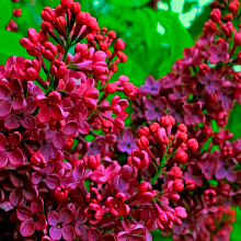 Основное изображение товара