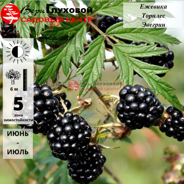 Рисунок 50.jpg