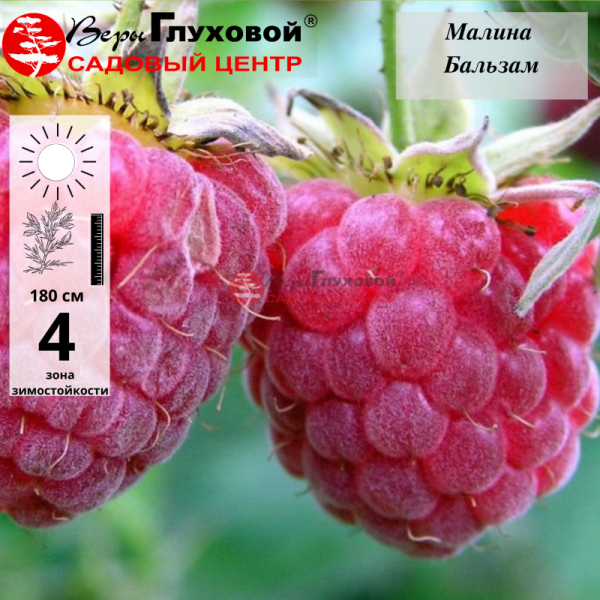 Основное изображение товара