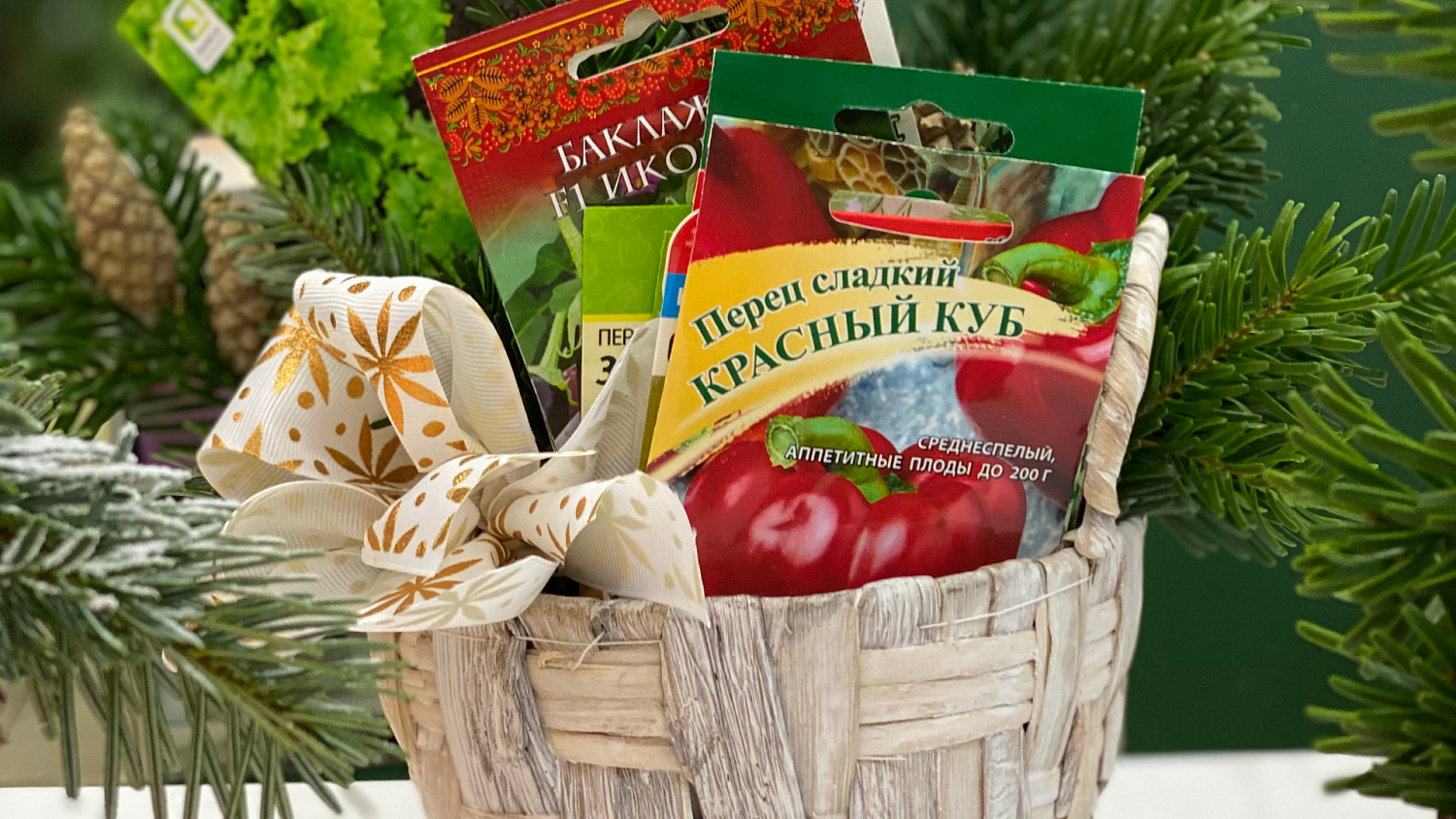 Новый выпуск "Дачные советы" от 24 декабря 2020 года