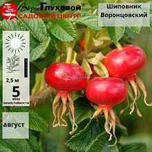 Основное изображение товара