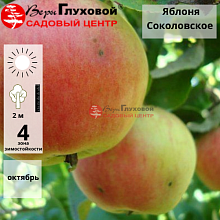 Основное изображение товара