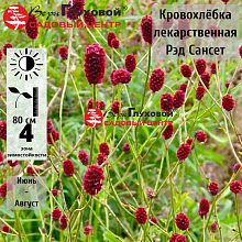 Основное изображение товара