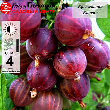 Рисунок 95.jpg