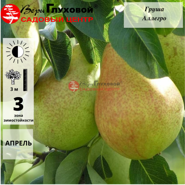 Рисунок 2.jpg