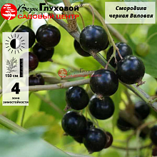 Основное изображение товара