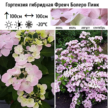 Основное изображение товара